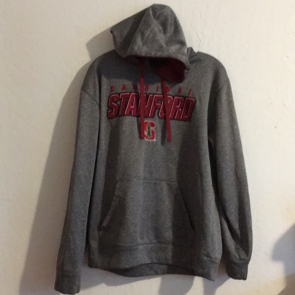 Champion Heathered Gray Stanford Hoodie